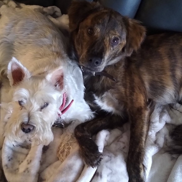 Meet your Posher, Andrea - Picture 9 of 16